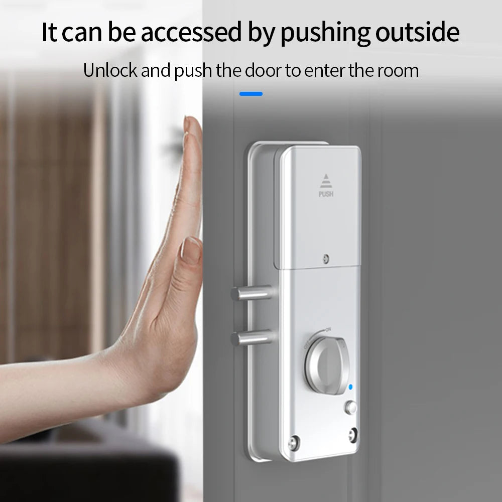 Home Smart Door Lock Handle Hidden Battery Anti Theft Electronic Keyless Lock