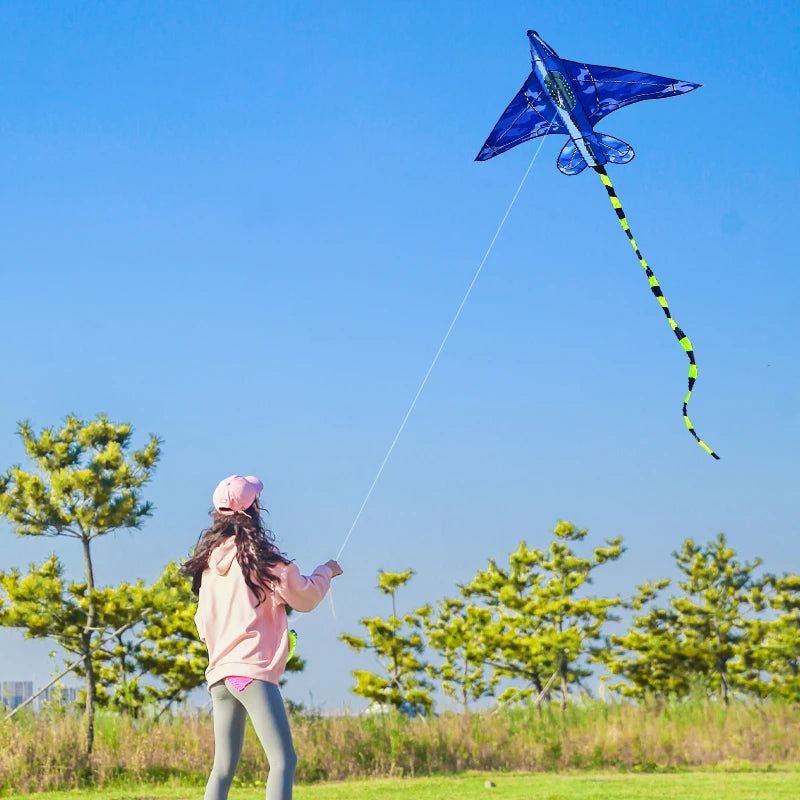 Kites With Handle And Line For Kids Flying kites for ages 8-12