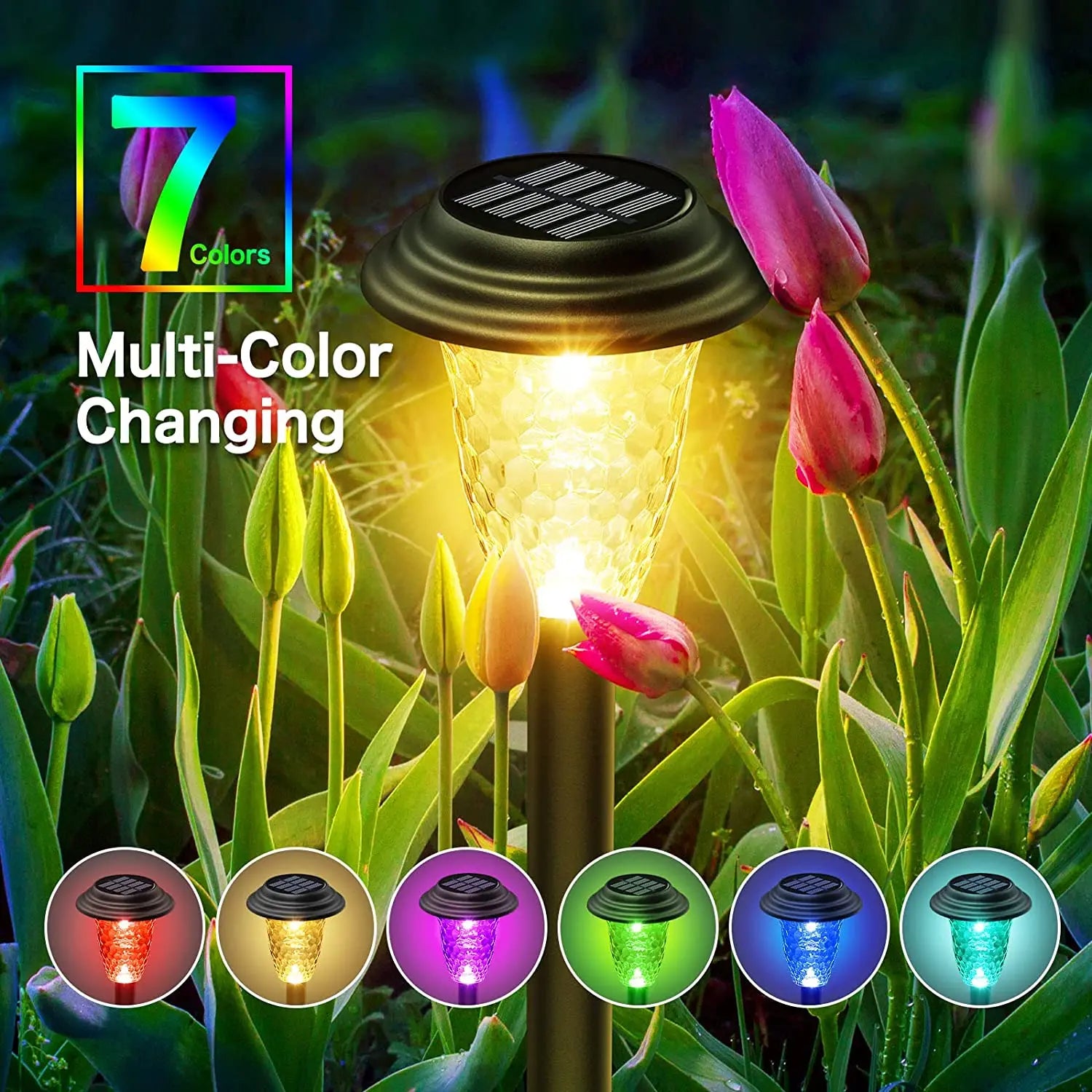 Solar RGB Color Changing Pathway Lights