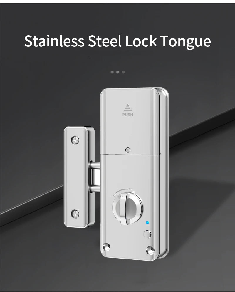 Home Smart Door Lock Handle Hidden Battery Anti Theft Electronic Keyless Lock