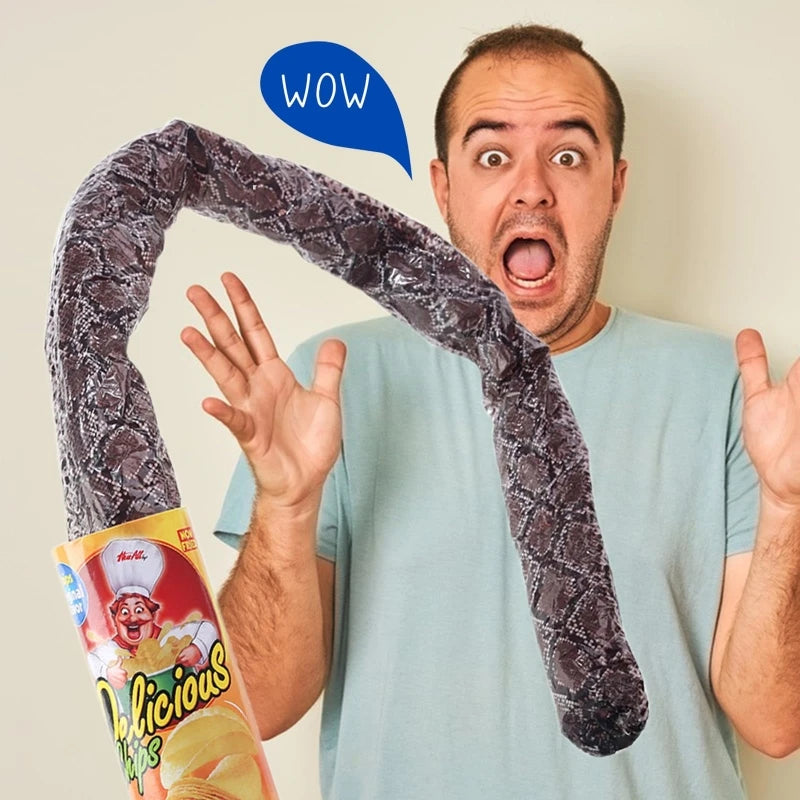 The Potato Chip Snake Can Jump Stage Magic Tricks Spring Snake Toy Jokes in A Can Gift