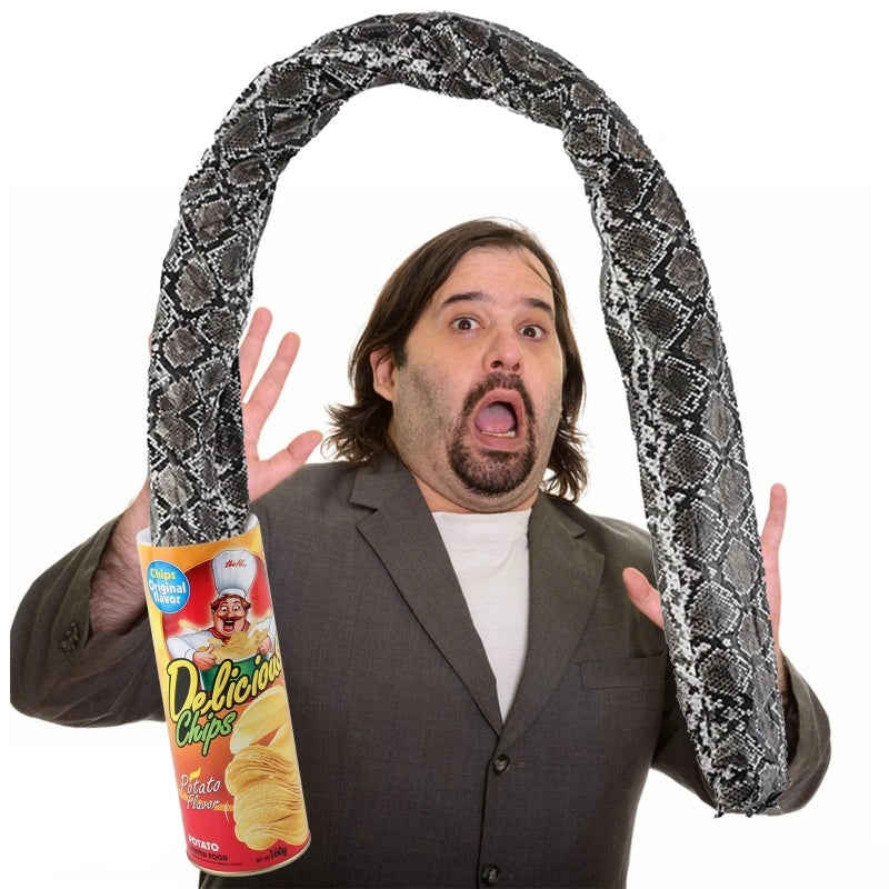 The Potato Chip Snake Can Jump Stage Magic Tricks Spring Snake Toy Jokes in A Can Gift