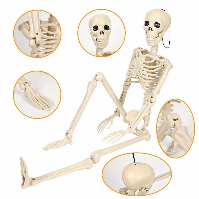 Halloween Home Decor Skeleton Head Outdoor Scary Props Realistic Skull Prank