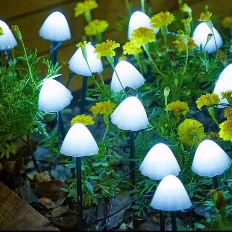Brighten Up Garden with 10 LED Solar Mushroom Lights!