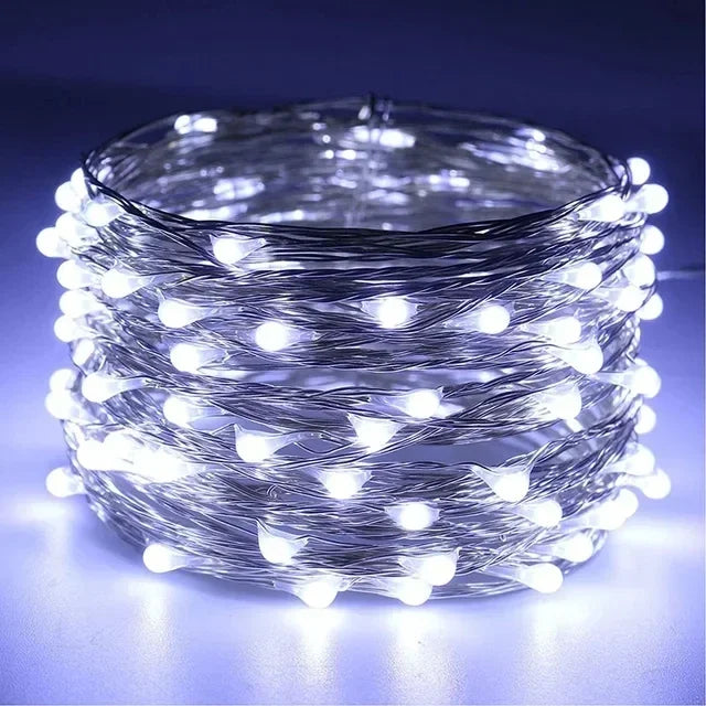 1M 2M 3M 5M 10M 20M 30M Copper Wire LED String lights Holiday lighting Fairy Garland