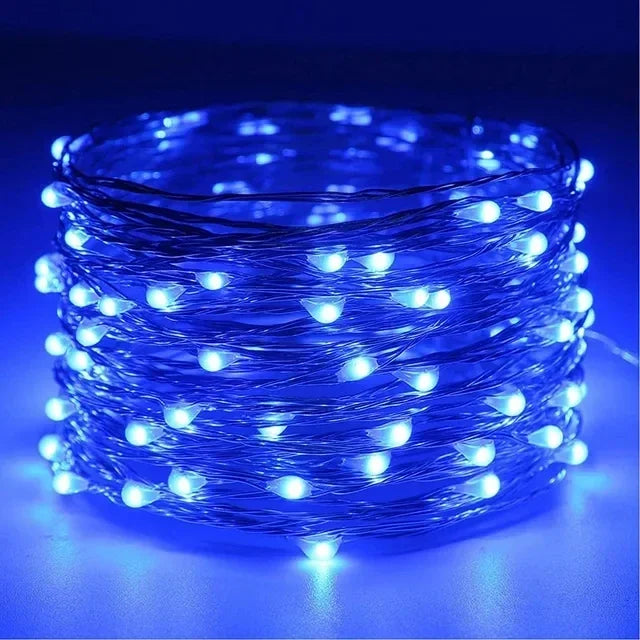 1M 2M 3M 5M 10M 20M 30M Copper Wire LED String lights Holiday lighting Fairy Garland