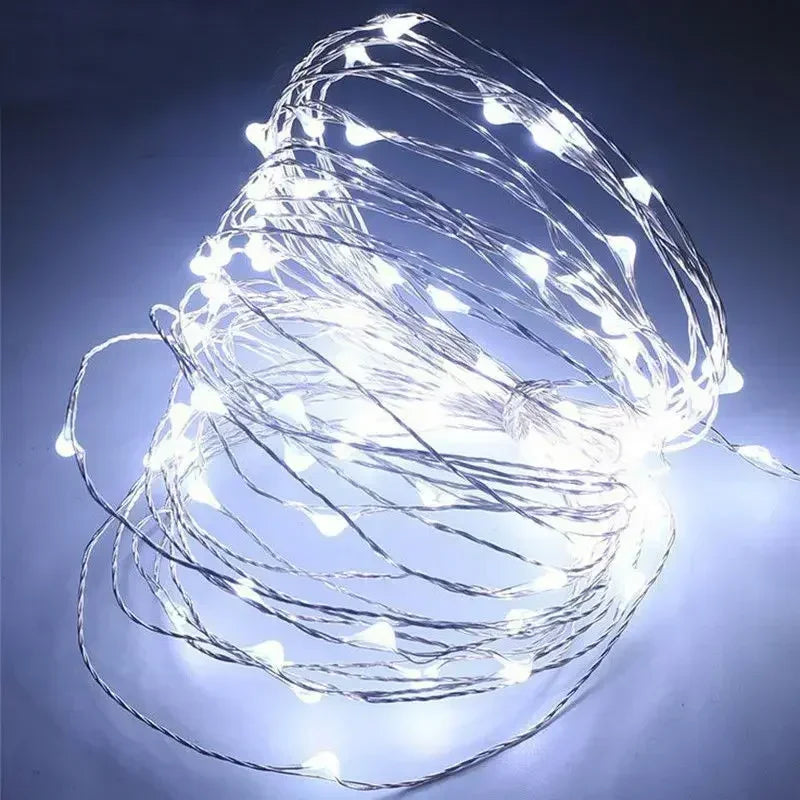 1M 2M 3M 5M 10M 20M 30M Copper Wire LED String lights Holiday lighting Fairy Garland