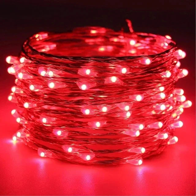 1M 2M 3M 5M 10M 20M 30M Copper Wire LED String lights Holiday lighting Fairy Garland