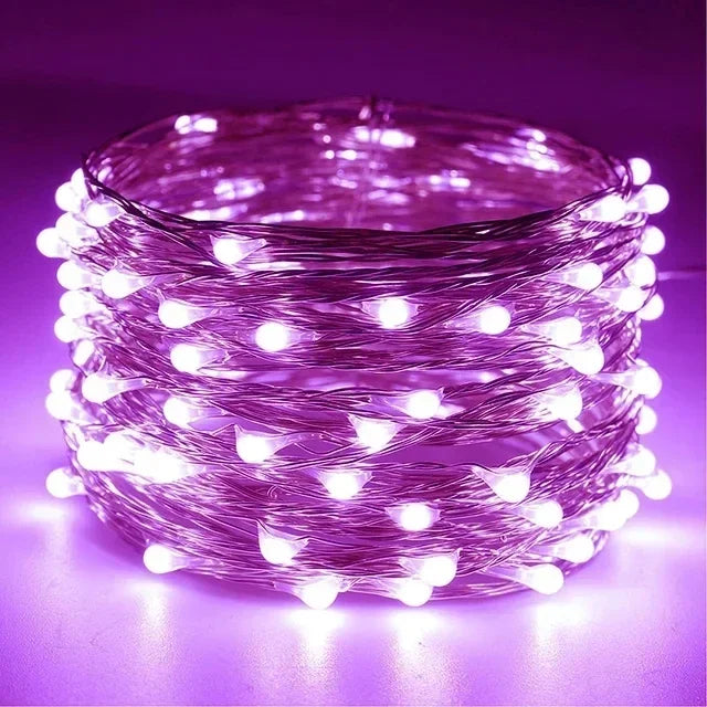 1M 2M 3M 5M 10M 20M 30M Copper Wire LED String lights Holiday lighting Fairy Garland