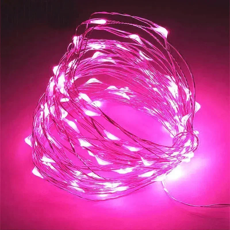1M 2M 3M 5M 10M 20M 30M Copper Wire LED String lights Holiday lighting Fairy Garland