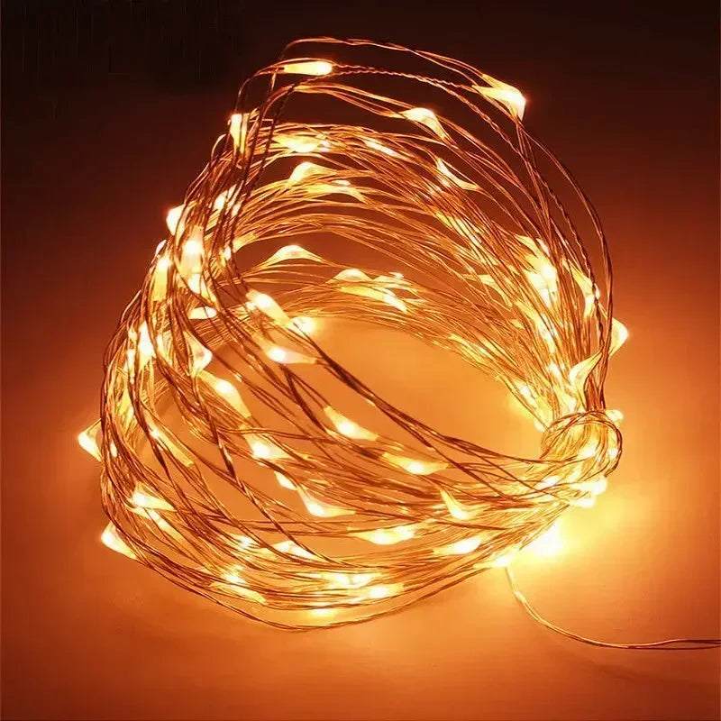 1M 2M 3M 5M 10M 20M 30M Copper Wire LED String lights Holiday lighting Fairy Garland
