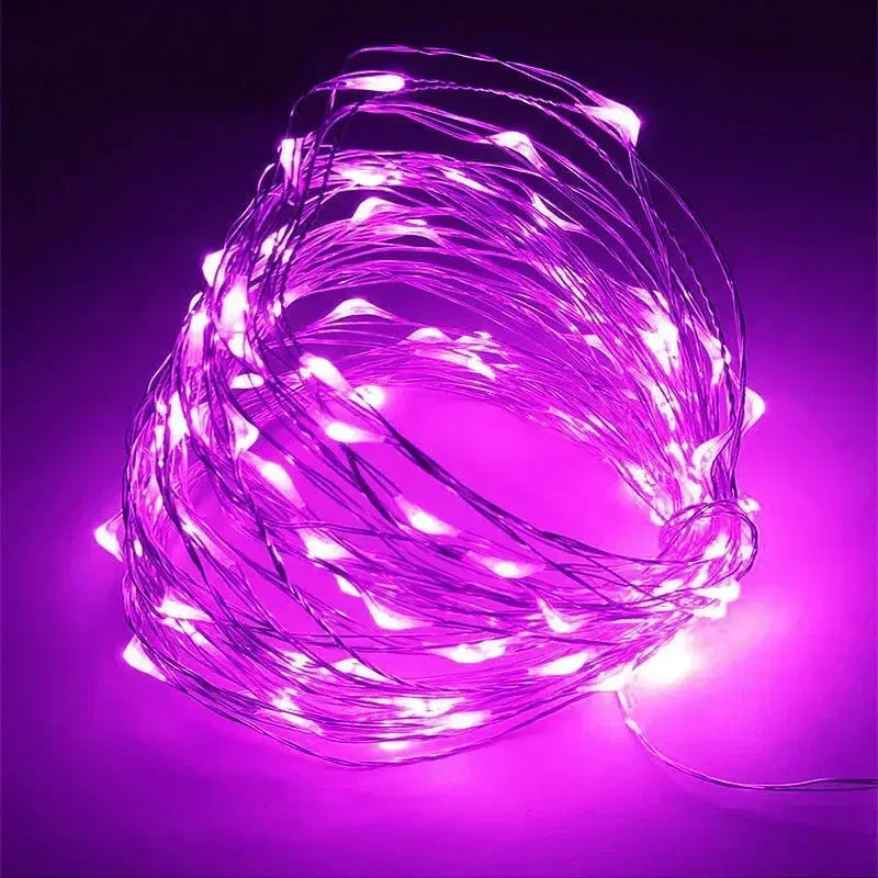 1M 2M 3M 5M 10M 20M 30M Copper Wire LED String lights Holiday lighting Fairy Garland