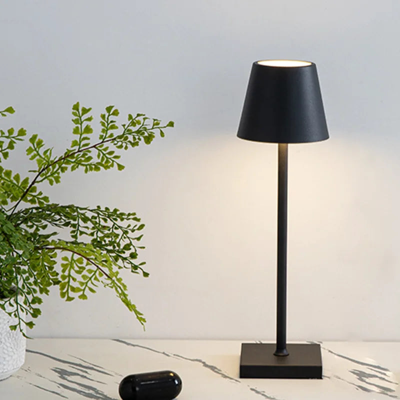 3-Color Rechargeable LED Desk Lamp | USB-C Home Decor L