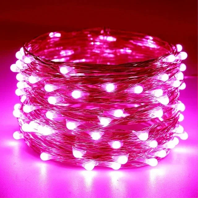 1M 2M 3M 5M 10M 20M 30M Copper Wire LED String lights Holiday lighting Fairy Garland