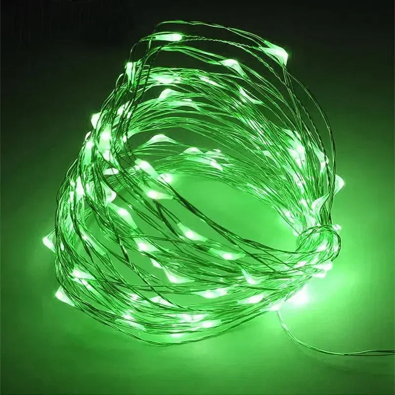 1M 2M 3M 5M 10M 20M 30M Copper Wire LED String lights Holiday lighting Fairy Garland