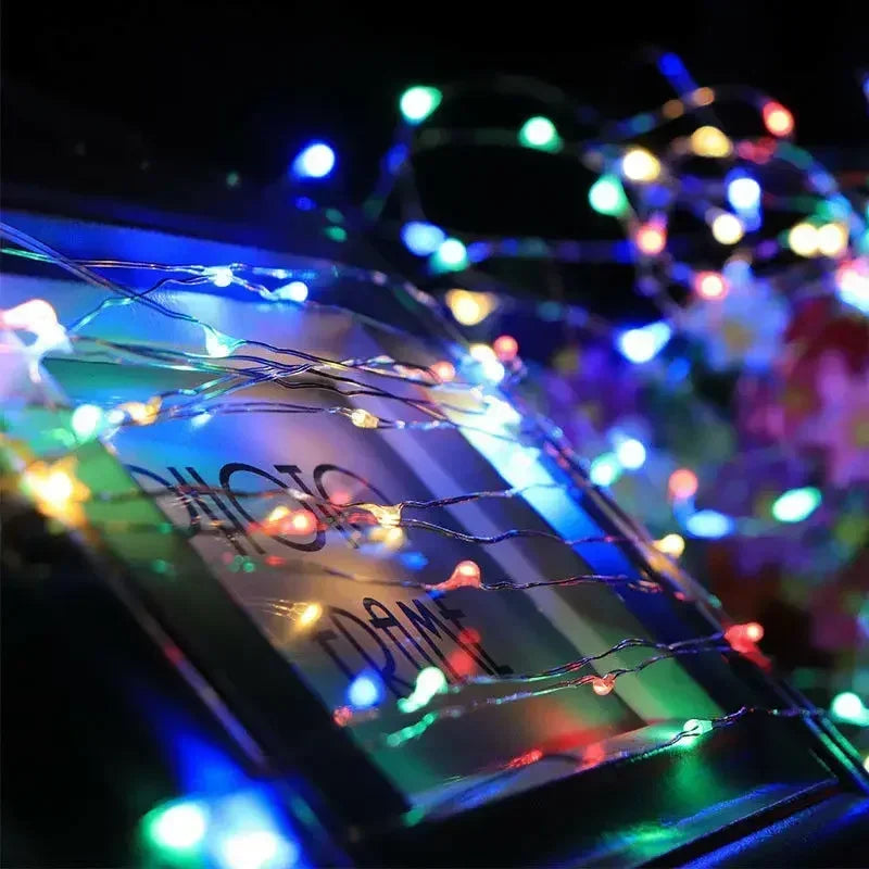 1M 2M 3M 5M 10M 20M 30M Copper Wire LED String lights Holiday lighting Fairy Garland