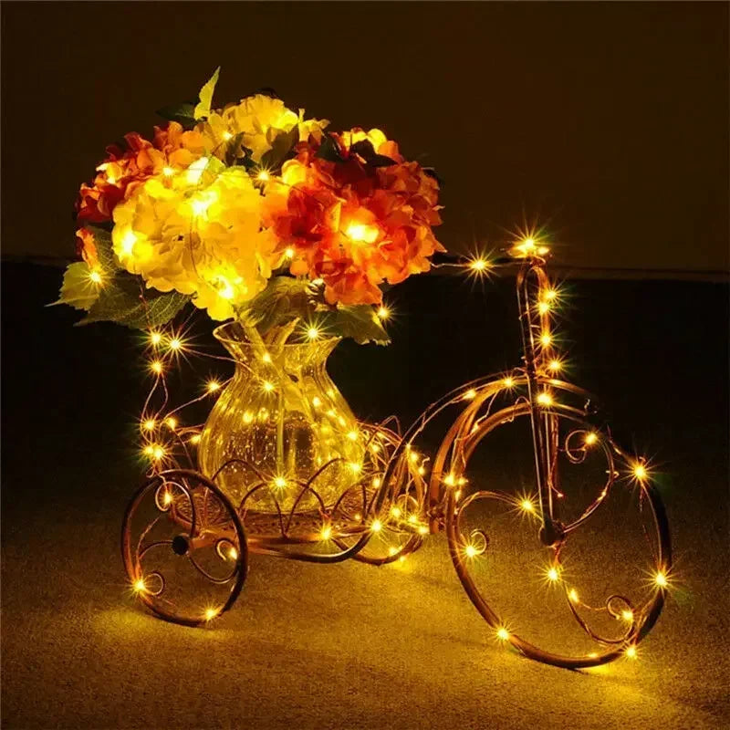 1M 2M 3M 5M 10M 20M 30M Copper Wire LED String lights Holiday lighting Fairy Garland