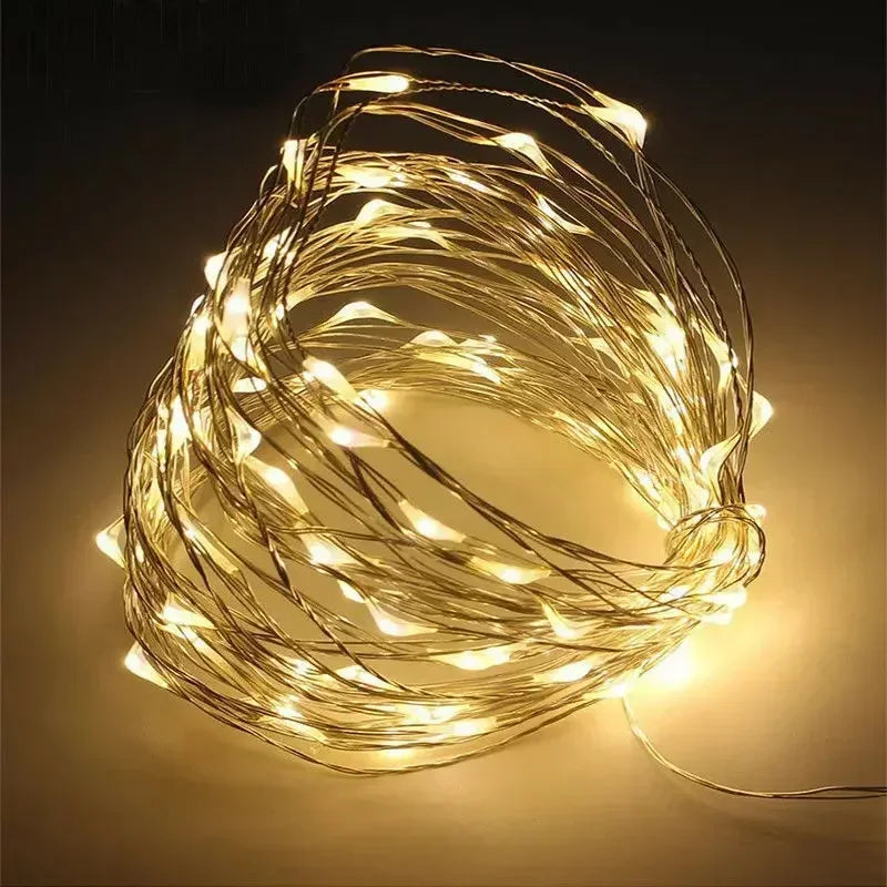 1M 2M 3M 5M 10M 20M 30M Copper Wire LED String lights Holiday lighting Fairy Garland