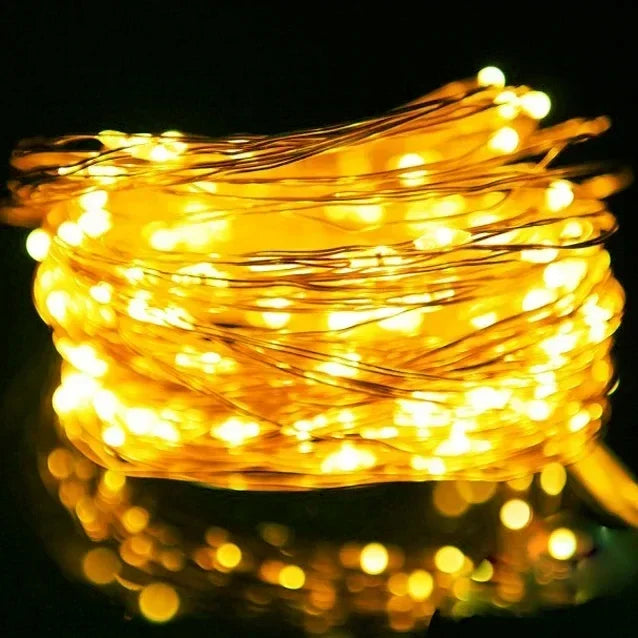 1M 2M 3M 5M 10M 20M 30M Copper Wire LED String lights Holiday lighting Fairy Garland