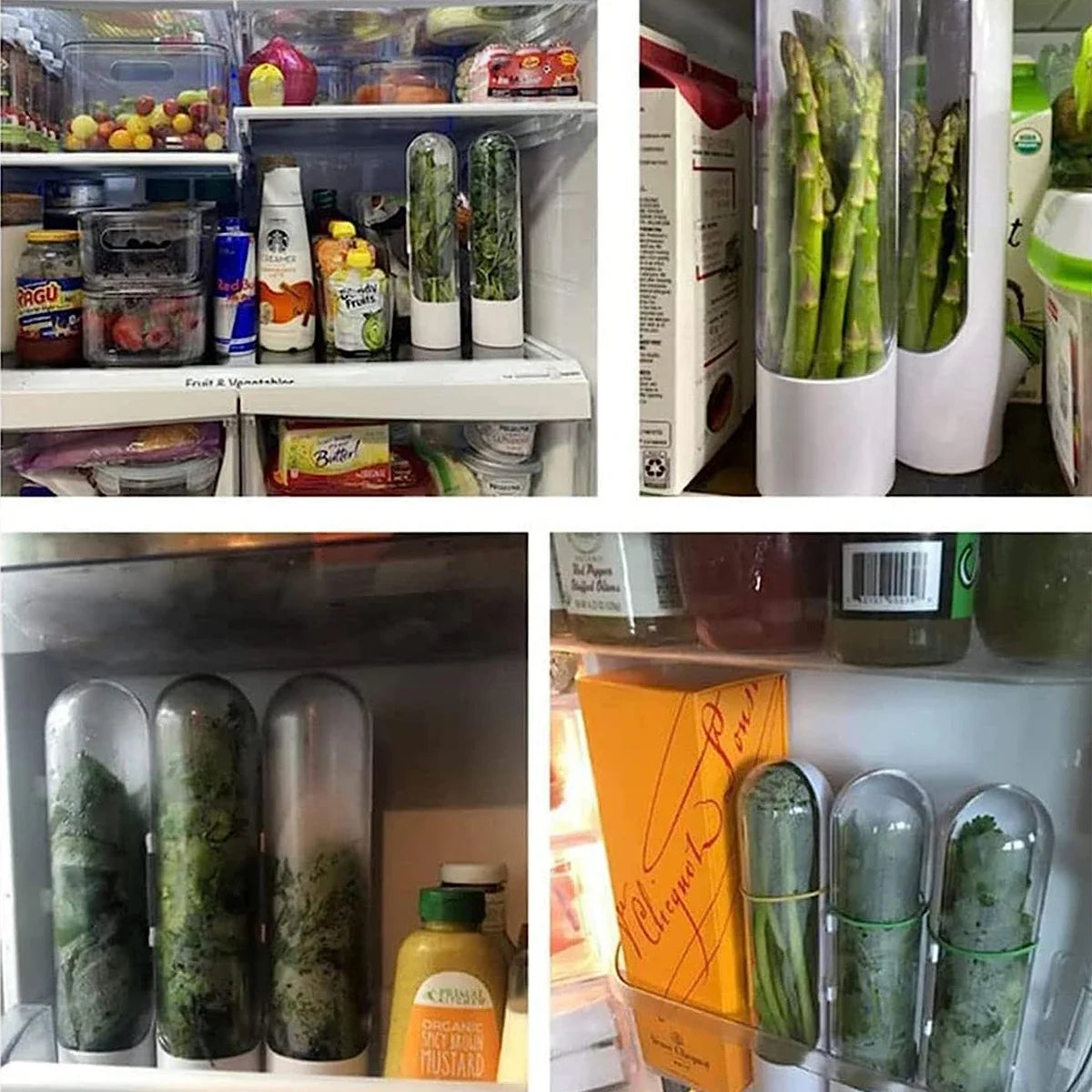 Herb Saver Storage Container Fresh Herb Keeper Fresh Preservation Bottle